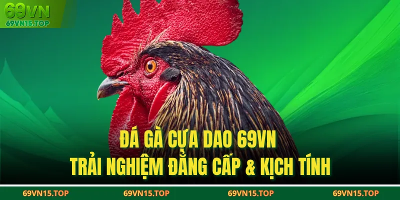 Đá Gà Cựa Dao 69VN – Trải Nghiệm Đẳng Cấp & Kịch Tính